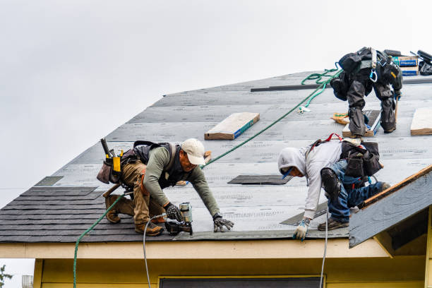Professional Gutter Installation technician working in Ruthton, MN